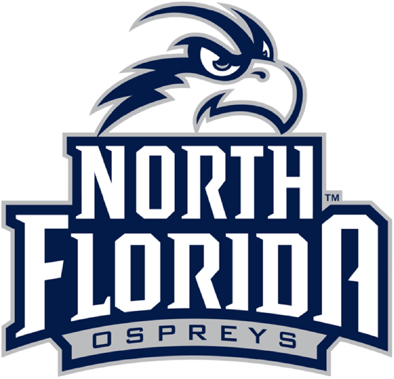 UNF Ospreys 2014-Pres Alternate Logo v2 diy DTF decal sticker